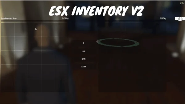 fivem inventory esx